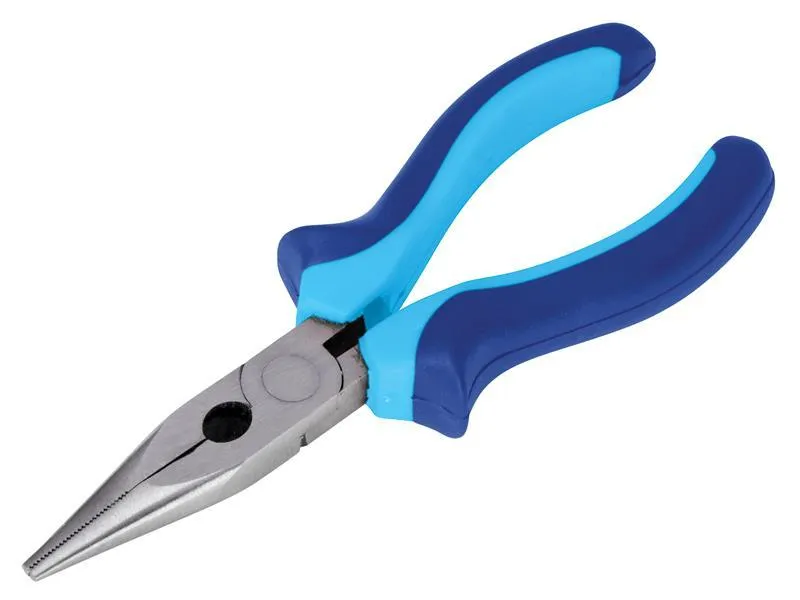 Bluespot Tools Long Nose Pliers 150Mm (6In)