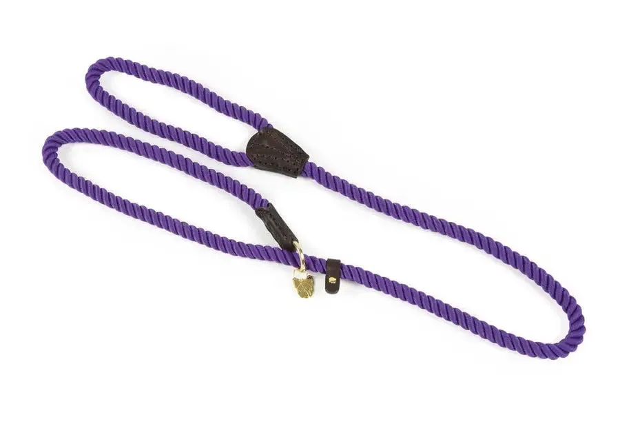 Digby & Fox Rope Slip Dog Lead