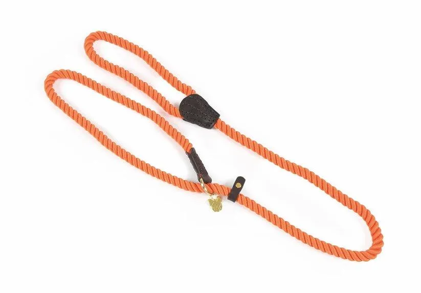 Digby & Fox Rope Slip Dog Lead