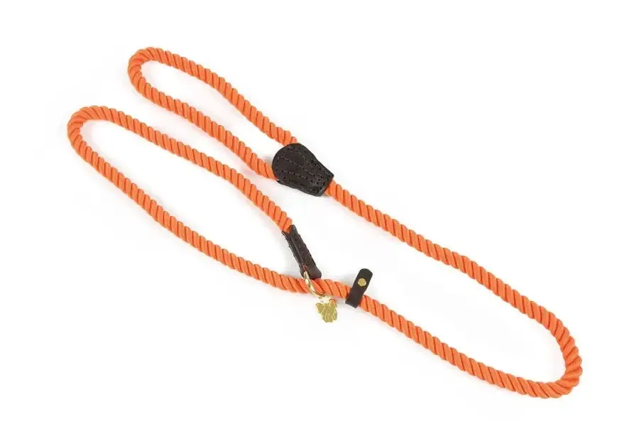 Digby & Fox Rope Slip Dog Lead