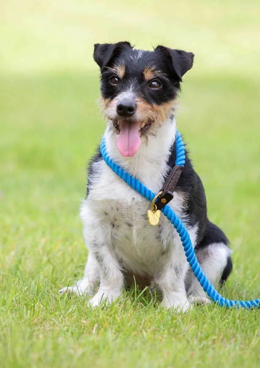 Digby & Fox Rope Slip Dog Lead