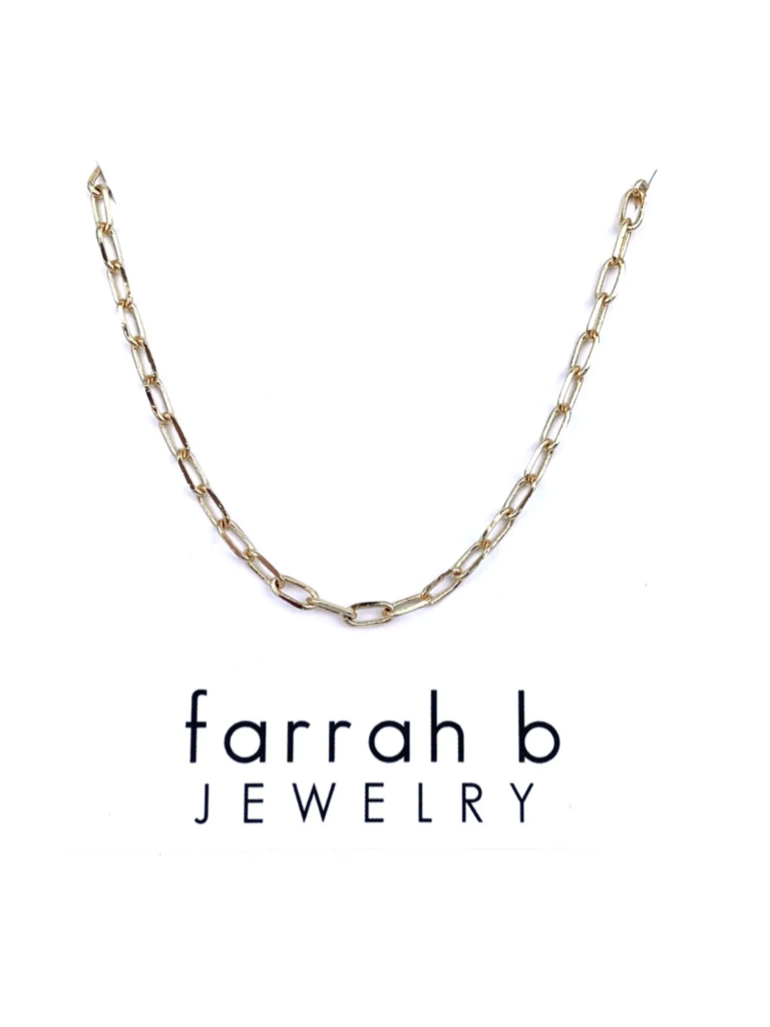 Farrah B Medium Chain Necklace