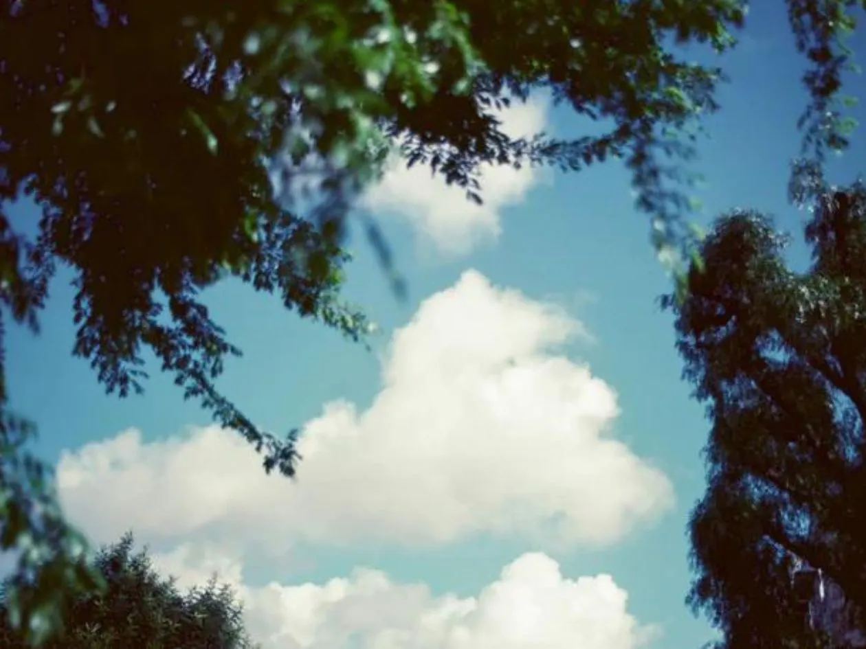 FPP Sun - 35mm Film