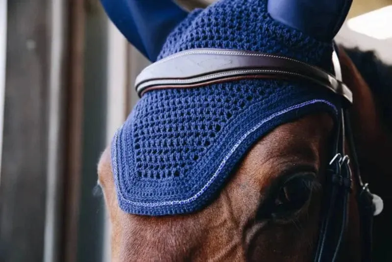 Kentucky Wellington Sparkling Soundless Ear Bonnet