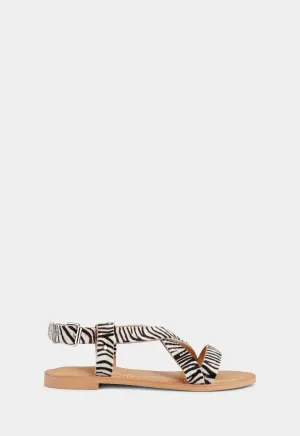 Laura - Zebra