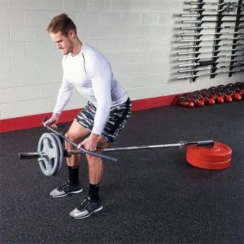 Multi Grip Landmine Attachment