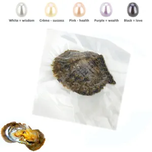 Oyster AKOYA pearl ~5-7mm AAA Freshwater, individually wrapped, make a wish & open up, freeform oval/rice-shaped