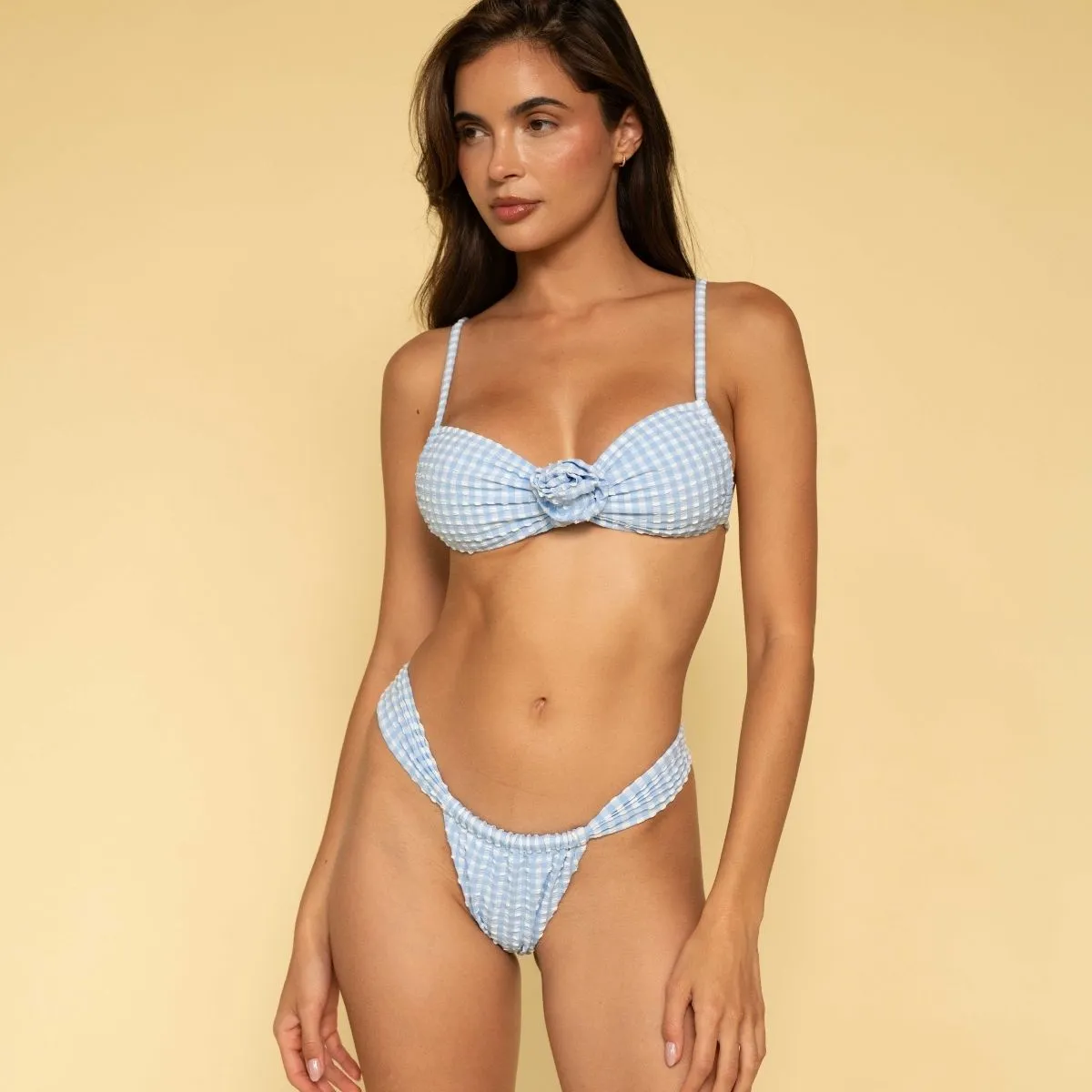 Peri Micro Gingham Sandra Bikini Bottom