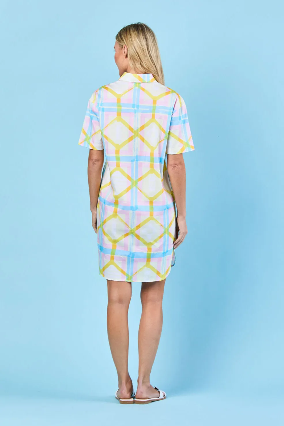 Rhodes Dress in Daffodil Picnic