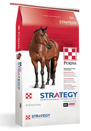 Strategy GX Horse Feed
