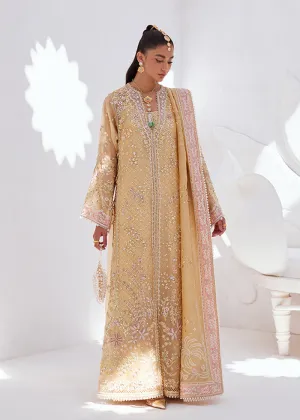 SUFFUSE | FREESHIA RTW' 24 | SUHA